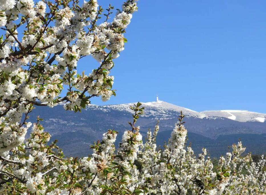 Les Tarraiettes Au Pied Du Luberon Villa Lourmarin Exteriör bild